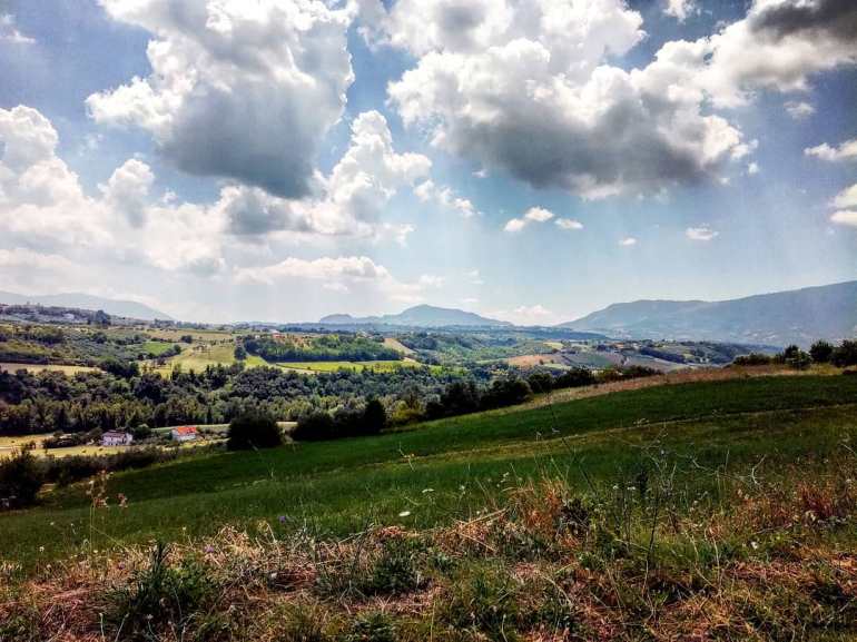 L’ERBA SALATA DI COLLE&nbsp;FLORIDO