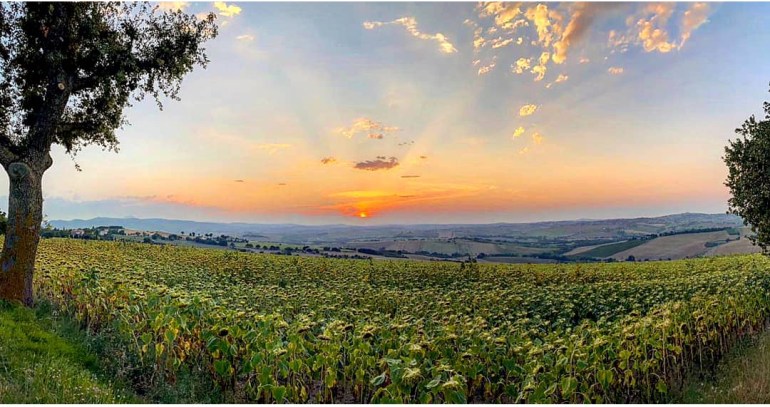 PROFONDITÀ MINERALI